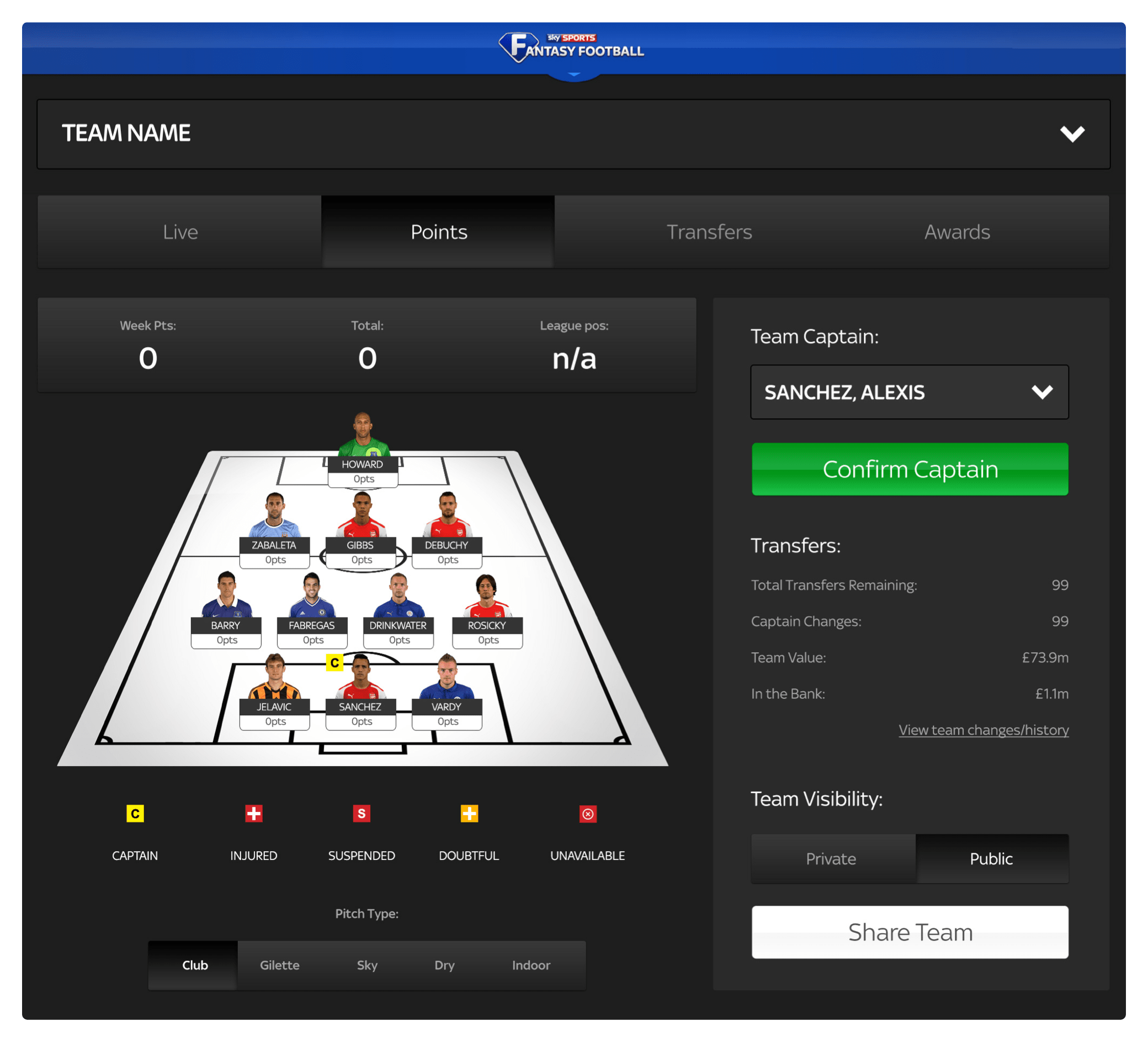 Fantasy Football Team View